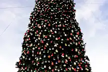 Arizona's tallest Christmas tree delivered to Outlets at Anthem Thursday morning