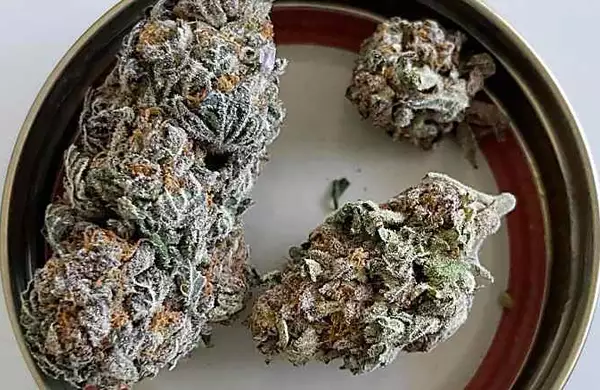 Mail Order Weed Is a Real Thing, and It's Amazing