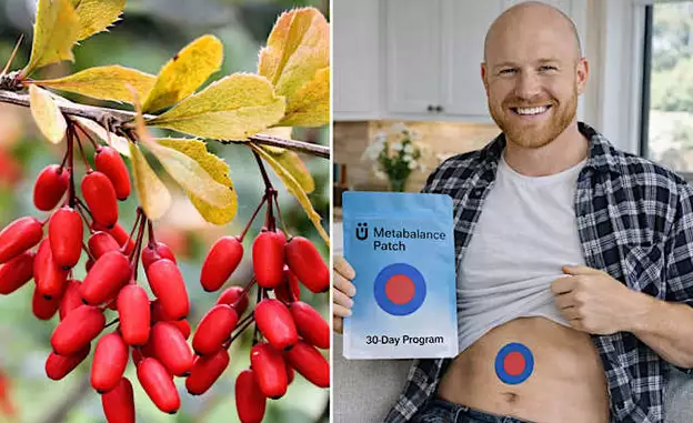 Neues Berberin-Pflaster lässt selbst hartnäckiges Bauchfett schrumpfen