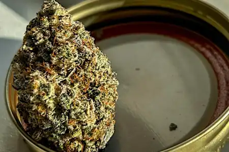 Florida Find Out How Others in Miami Are Getting Weed Delivered