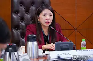 “别人办丧你却播噹嘟舞曲”，霹巫统代表轰杨美盈无礼