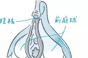 女性が「感じる」メカニズム　Gスポットは気持ち良い「から」現れる快感スポット｜感じるところ｜森田敦子