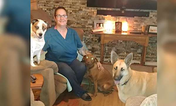 She was planning to ride out the storm with her 7 rescue dogs. Then strangers rented her a van