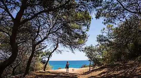 La cara oculta y salvaje de una playa abarrotada La cara oculta y salvaje de una playa abarrotada