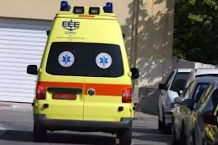 Δομοκός: Κυνηγός έχασε τη ζωή του μετά από τσίμπημα μέλισσας - Δεν πρόλαβε να φθάσει στο φαρμακείο Δομοκός: Κυνηγός έχασε τη ζωή του μετά από τσίμπημα μέλισσας - Δεν πρόλαβε να φθάσει στο φαρμακείο