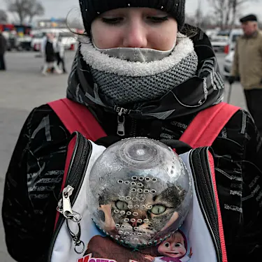 'We couldn't leave them': Ukraine refugees flee with pets in tow