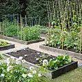 How to build a raised garden bed, according to master gardeners