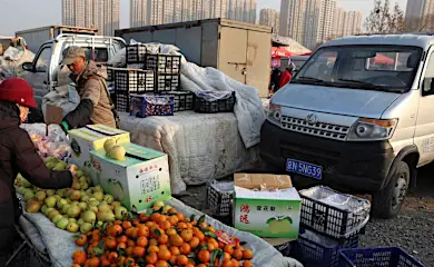 China deflation pressure deepens as price index hits 9-month low