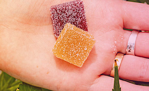 "Nature's Morphine", Could Help Against Joint Pain & Arthritis