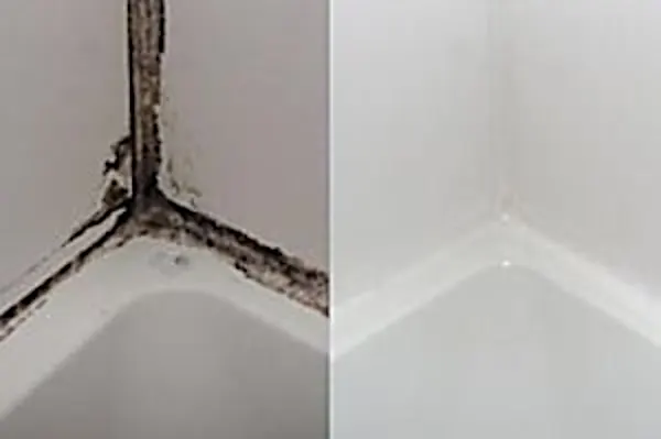 The Japanese Don’t Clean – They Use This Genius Invention!