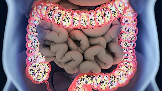 How To Entirely Empty Your Bowels Each Morning (1 Min Routine)