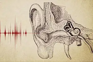 Este aceite hace maravillas para la audición. Incluso escucharás el ronroneo del gato.