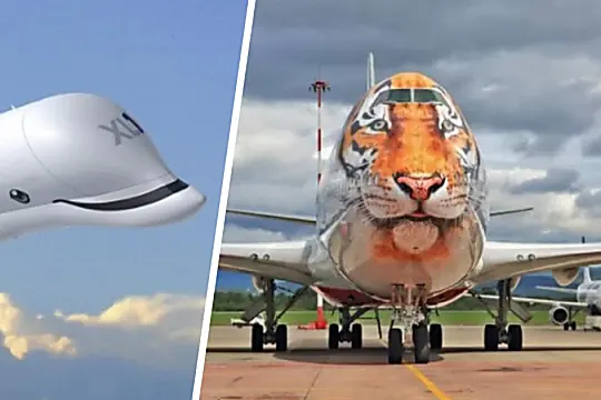 50+  Aircraft Are Painted In An Incredible Way