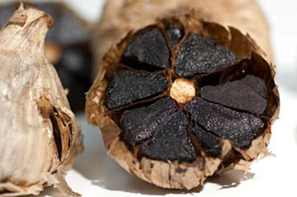 Doctor: If You Have Tinnitus (Ear Ringing) Do This Immediately! Doctor: If You Have Tinnitus (Ear Ringing) Do This Immediately!