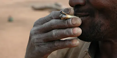 Afrique: le marché de la drogue explose, état des lieux