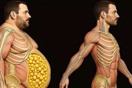Cardiologist: 2 Veggies Will Kill Belly Fat Overnight (Try It) Cardiologist: 2 Veggies Will Kill Belly Fat Overnight (Try It)