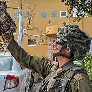 Elite Israeli soldier rescues tree owl from Kfar Aza wreckage