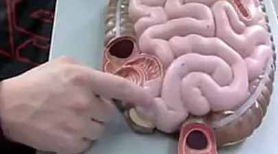 Constipation ? La clé pour faire vos besoins facilement chaque matin (sans y passer des heures