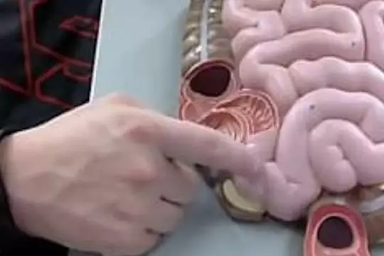 Transit lent ? Cette astuce matinale expulse vos selles en 2 minutes