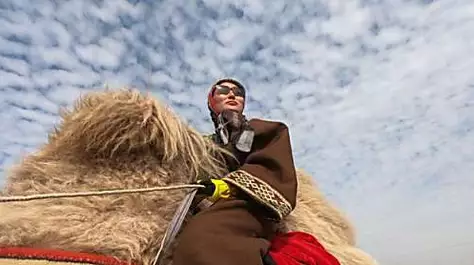 A 12,000km camel journey across continents