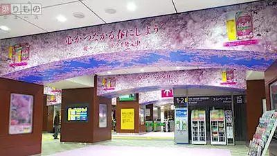 「花見に縁のある駅を桜で埋めつくす」好評の交通広告、全国展開へ　そのねらいとは？（1/3 ページ）