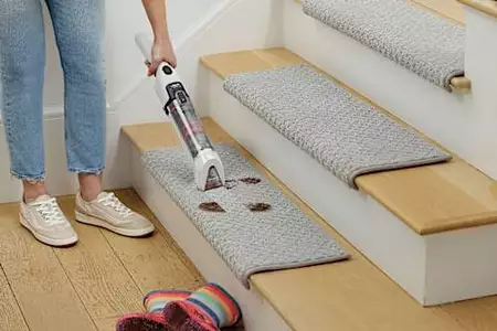 A Closer Look at Shark StainForce