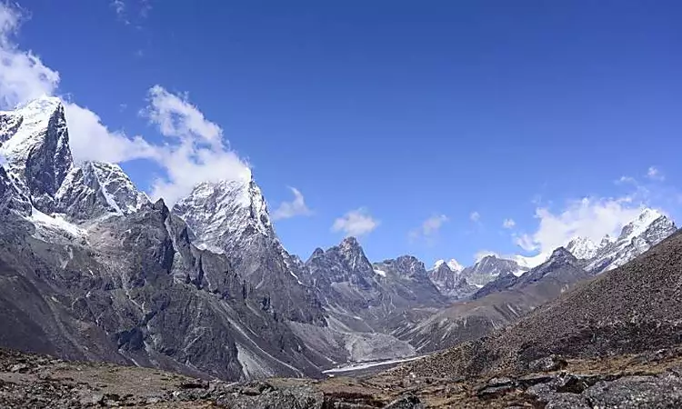 More plants are growing around Everest -- and the consequences could be serious