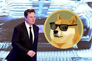 JP Morgan Predicts the Future of Elon Musk's DOGE