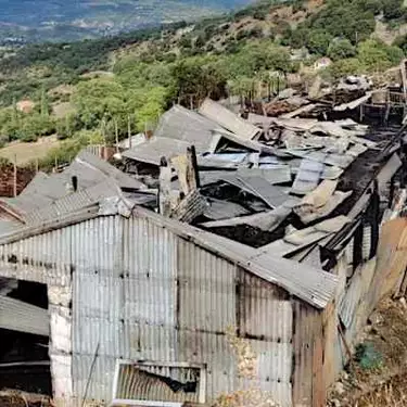 Αιτωλοακαρνανία / Κεραυνός σκότωσε κοπάδι με 150 πρόβατα