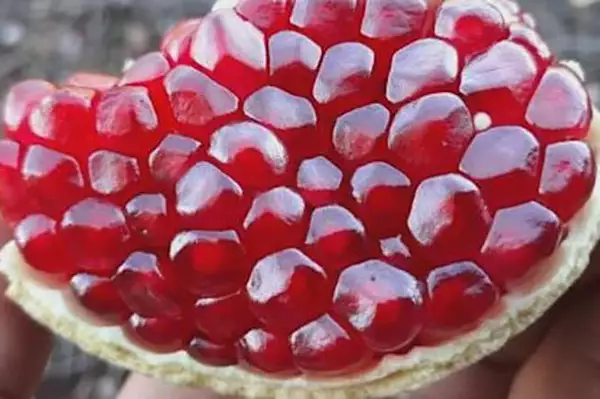 Μια εξαιρετική λύση για ηλικιωμένους με ακράτεια ούρων στην Ελλάδα. Μια εξαιρετική λύση για ηλικιωμένους με ακράτεια ούρων στην Ελλάδα.