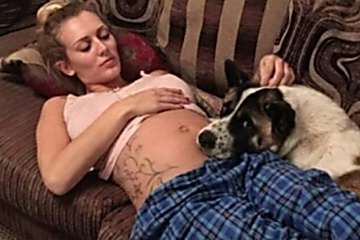 [Galerie] Schwangere Frau realisiert auf Warnung ihres Hundes, dass sie ins Krankenhaus muss.