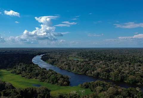 Les forêts tropicales risquent bientôt d'émettre plus de CO2 qu'elles n'en captent Les forêts tropicales risquent bientôt d'émettre plus de CO2 qu'elles n'en captent