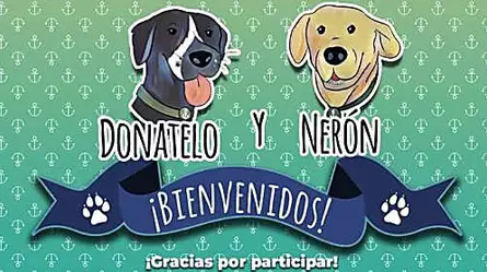 Perro rescatado por la Marina de México ya tiene nombre