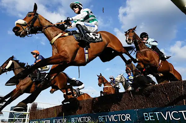 Today on Sky Sports Racing: Jasmine Bliss and Siog Geal contest Grade 2 on Newbury Jumps finale card