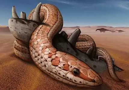 95-Million-Year-Old Skull Fossil Points to 'Biblical Snake' with Hind Legs