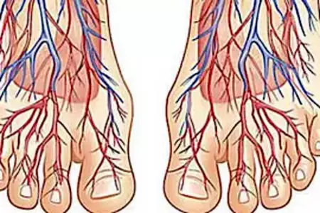 Neurologists: ½ Cup Each Morning Relieves Neuropathy Quickly!