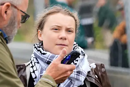 Greta Thunberg arrested at pro-Palestinian protest in Denmark