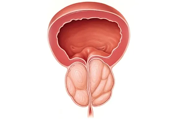 Enlarged Prostate Has Nothing To Do With Age: Just Stop Doing This One Common Thing!