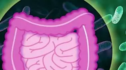 Transit lent ? Cette astuce matinale expulse vos selles en 2 minutes