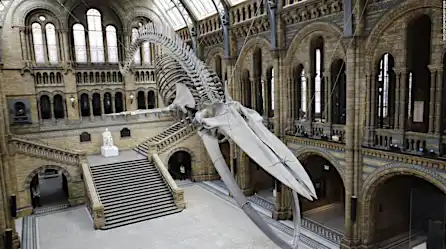 #RankingCNN: 5 museos más populares del mundo
