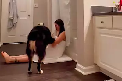 [Fotos] Una mujer se encierra en el baño con su perro hasta que su marido se da cuenta de que tiene una marca en la pierna
