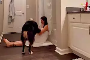 [Story] Wife Keeps Locking Herself In Bathroom With Dog Until Husband Notices Mark On Leg