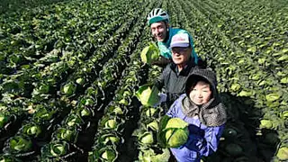 OpenAI Pursues Multi-Billion Dollar Investments from Tech Giants and SoftBank