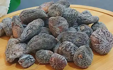 Glaucoma and cataract can disappear! And vision can return quickly (Stop Doing This)