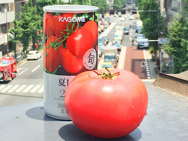 今年も完売必至！カゴメが期間限定でつくるトマトジュース