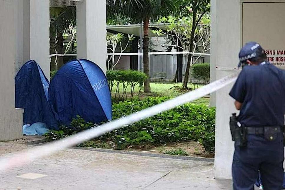 Woman and baby found dead at foot of Ghim Moh HDB block; second such case in a month