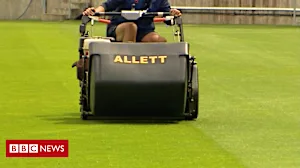 Mowers set for World Cup pitch invasion