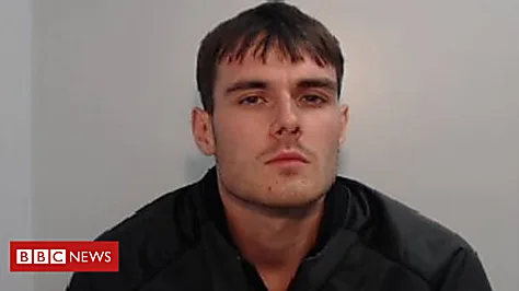 'Coward' hit-and-run driver jailed