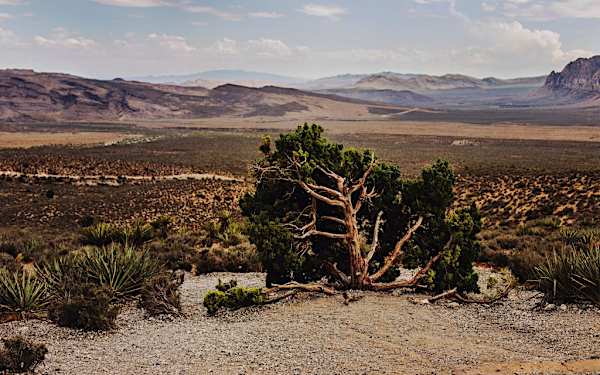 Desiertos y cambio climático: 'hornos' cada vez más inhabitables