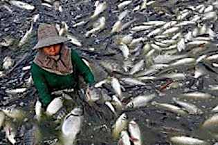 20 Foods Made In China You Should Never Eat